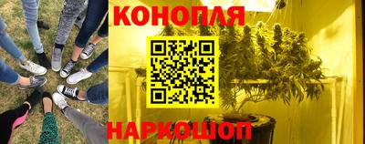 сатива Бийск