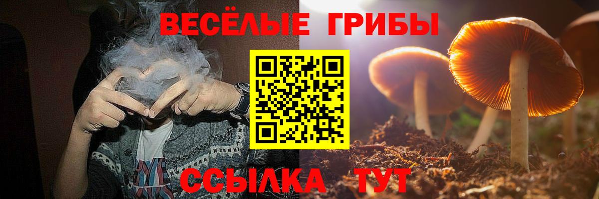 Конопля Зеленодольск